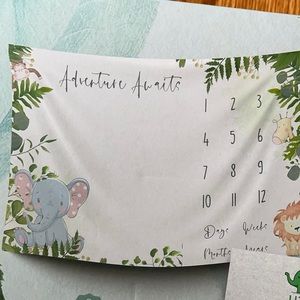 Brand New Little Elephant Milestone Blanket